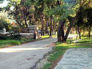 Σε απελπιστική κατάσταση  το άλσος Ρουφογάλη