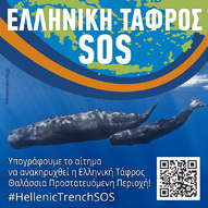 Καμπάνια για την ανακήρυξη της Ελληνικής Τάφρου ως Θαλάσσια Προστατευόμενη Περιοχή!