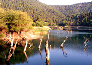 100 χρόνια λίμνη Τσιβλού: τσιμέντο αντί για προστασία