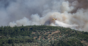 Φωτιές σε Έβρο, Καβάλα, Φθιώτιδα και Αττική