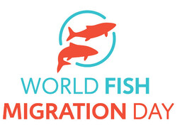 Παγκόσμια Ημέρα Ιχθυομετανάστευσης (World Fish Migration Day)