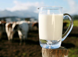 Παγκόσμια Ημέρα Γάλακτος (World Milk Day)