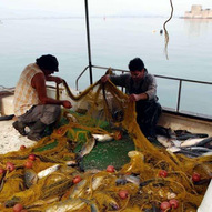 Η αλιεία σε πορεία βιώσιμη και αειφορική μετά την εγκατάλειψη