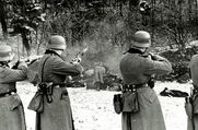 Οι γερμανικές δυνάμεις κατοχής εκτελούν στο Μονοδένδρι Λακωνίας 118 Έλληνες ομήρους (1943)