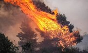 Δήμαρχος Πύργου για φωτιές: Η κυβέρνηση πήρε τις δωρεές 200 εκατ. που έδωσε ο κόσμος το 2007 (Video)
