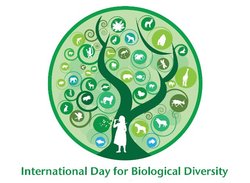 Παγκόσμια Ημέρα Βιοποικιλότητας (World Day for Biological Diversity)