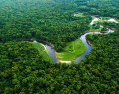 Ο Αμαζόνιος δεν θα σωθεί μόνος του, λένε οι χώρες της περιοχής