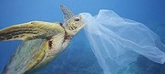 «Σ.Π.Ο.Α.Κ.: εκστρατεία για την δραστική μείωση και κατάργηση  της πλαστικής σακούλας στους Δήμους του Κορινθιακού Κόλπου»