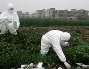 «Η Δυτική Αχαΐα δεν περιλαμβάνεται στις ευπρόσβλητες από τη νιτρορύπανση περιοχές, με βάση μελέτη του Πανεπιστημίου Πατρών» 