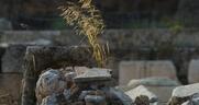 Ακουστική μύηση στα Ελευσίνια Μυστήρια, με τα μάτια κλειστά
