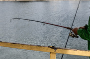 Τι αλλάζει στο ψάρεμα, ποια δολώματα απαγορεύονται - Ανατροπές για την ερασιτεχνική αλιεία με το νομοσχέδιο που προωθείται