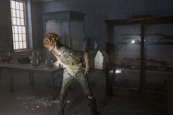 Γιατί δεν έχουμε εμβόλια για μυκητιάσεις;