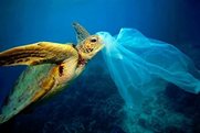 «Πρόσκληση συμμετοχής στην διαβούλευση για την κατάργηση της πλαστικής σακούλας στον Κορινθιακό»