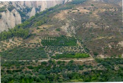 Κλείσιμο συνεταιρισμών