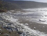 Γέμισαν αφρούς παραλίες της Κρήτης: Τι είναι το φαινόμενο «Capuccino coast» (Photos)