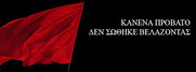 Μπατσάδικη ασυδοσία και κτηνωδία - Κρατική καταστολή και "τρομοκρατία"