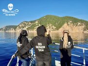 Οι Sea Shepherd προστατεύουν τα δελφίνια και τις φώκιες στην Αλόννησο