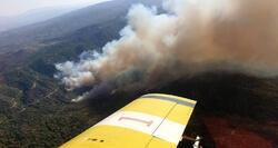 Μεγάλη φωτιά καταστρέφει δάσος και περιουσίες στην Κύπρο