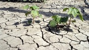 Politico: Προειδοποίηση στην Ελλάδα για ξηρασία-Η Ευρώπη υποφέρει