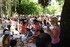 Yπαίθρια γιορτή στο Δασύλλιο Αβύθου