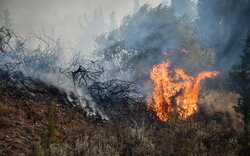 Φωτιές: «Απενεργοποιημένο» το σύστημα πρόγνωσης πυρκαγιών IRIS Τρεις μόνο φορές ενεργοποιήθηκε το IRIS