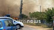 Φωτιά στην Ηλεία: Απειλούνται σπίτια στην Σπιάτζα