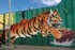 Το 4ο Διεθνές Street Art Festival Patras | ArtWalk 4 έρχεται και αλλάζει την πόλη!
