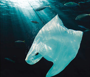 «Σ.Π.Ο.Α.Κ.: εκστρατεία για την δραστική μείωση και κατάργηση της πλαστικής σακούλας στους Δήμους του Κορινθιακού Κόλπου»