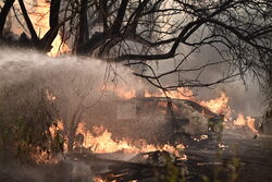 Αποκαλυπτική καταγγελία από Πρόεδρο οικισμού της Μάνδρας που καίγεται: «Δεν υπάρχουν εναέρια μέσα»