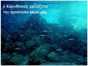 Συνεδριάζει στις 15 Ιουνίου  η Ειδική  Μόνιμη  Επιτροπή  Προστασίας Περιβάλλοντος με θέμα ημερήσιας διάταξηςτην  Προστασία του Κορινθιακού Κόλπου