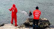Άρχισε να κολυμπάει και κατευθύνθηκε στα ανοιχτά η νεαρή ραμφοφάλαινα