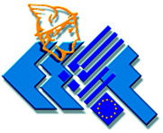 Την αναθεώρηση της φιλοσοφίας των ευρωπαϊκών προγραμμάτων ζήτησε η ΕΣΕΕ, για την διάθεση κονδυλίων του ΕΣΠΑ υπό την μορφή κεφαλαίου κίνησης στους Έλληνες μικρομεσαίους.