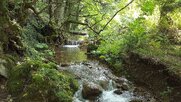 Οι ενεργειοφάγοι καταστρέφουν την ελληνική φύση