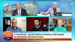 Οι αντιφασίστες «αναγέννησαν τους Ναζί» δηλώνει ο Βελόπουλος
