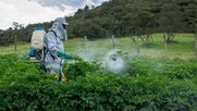 Βέλγικες ΜΚΟ ζητούν την αναστολή της έγκρισης δύο τοξικών εντομοκτόνων