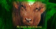 Ανήμερα του Αϊ-Σιχτίρ