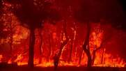 Λέσβος: Μεγάλη φωτιά στα Βατερά - Στάχτη περιουσίες και παρθένο δάσος