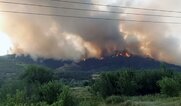 Τέταρτη μέρα καταστροφής στην «προστατευόμενη» Δαδιά