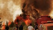 «Λένε πάντα την Αλήθεια οι Αριθμοί!»