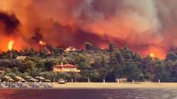 Συγκλονιστικό βίντεο από τη Λίμνη Ευβοίας: Οι φλόγες κατακαίνε το δάσος και φτάνουν στην παραλία (video)