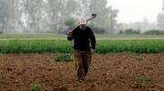 Θα αυξήσει το ασφάλιστρο και θα μειώσει τις καλύψεις η ιδιωτική ασφάλιση στην πρωτογενή παραγωγή