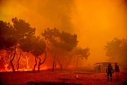 Λέσβος: «Ξέφυγε» η φωτιά στα Βατερά