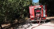 Φλέγεται η Πελοπόννησος - Μέτωπα σε Μεσσηνία και Ηλεία
