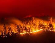 Δασικές πυρκαγιές: Τα επιστημονικά δεδομένα και η επόμενη μέρα