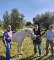 Κ. Μητρόπουλος: «Οφείλουμε να προστατεύουμε τα άλογα της φυλής της Πηνείας»