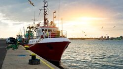 Η ΕΕ πρέπει να προστατεύσει τον αλιευτικό κλάδο από τον αθέμιτο ανταγωνισμό, προειδοποιεί η μελέτη