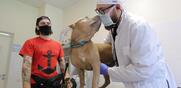 Ρωσία / Ξεκινά ο εμβολιασμός σκύλων και γατών κατά του Covid-19