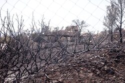 Σε πανικό η κυβέρνηση Μητσοτάκη – Τώρα αμφισβητεί και τις δορυφορικές εικόνες για τις καμένες εκτάσεις