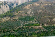 Κλείσιμο συνεταιρισμών