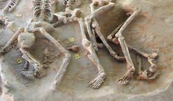 Εντυπωσιακό αρχαιολογικό εύρημα στις ανασκαφές στο Φαληρικό Δέλτα